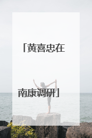黄喜忠在南康调研
