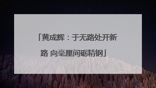 黄成辉：于无路处开新路 向毫厘间砺精钢