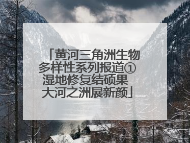 黄河三角洲生物多样性系列报道①湿地修复结硕果 大河之洲展新颜