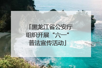 黑龙江省公安厅组织开展“六一”普法宣传活动
