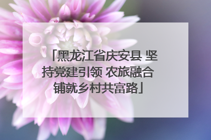 黑龙江省庆安县 坚持党建引领 农旅融合铺就乡村共富路