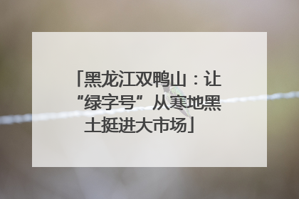 黑龙江双鸭山：让“绿字号”从寒地黑土挺进大市场