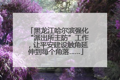 黑龙江哈尔滨强化“派出所主防”工作，让平安建设触角延伸到每个角落……