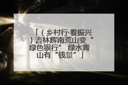 （乡村行·看振兴）吉林辉南荒山变“绿色银行” 绿水青山有“钱景”