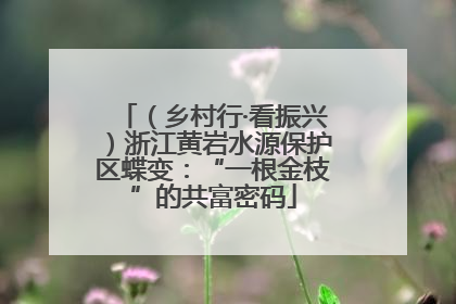 （乡村行·看振兴）浙江黄岩水源保护区蝶变：“一根金枝”的共富密码