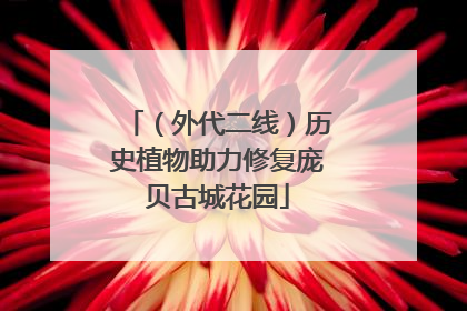 （外代二线）历史植物助力修复庞贝古城花园