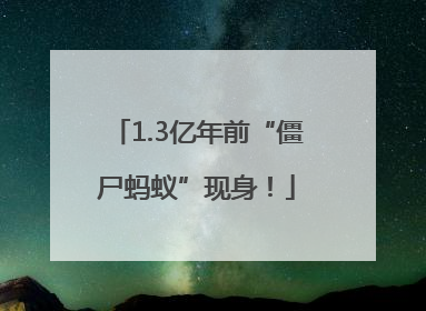 1.3亿年前“僵尸蚂蚁”现身！