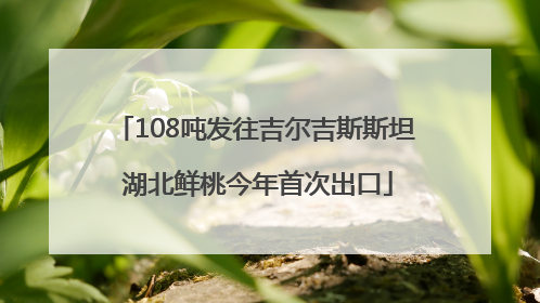108吨发往吉尔吉斯斯坦 湖北鲜桃今年首次出口