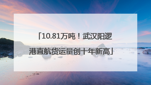 10.81万吨！武汉阳逻港直航货运量创十年新高
