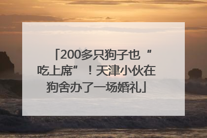 200多只狗子也“吃上席”！天津小伙在狗舍办了一场婚礼