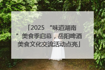 2025 “味道湖南”美食季启幕，岳阳啤酒美食文化交流活动点亮