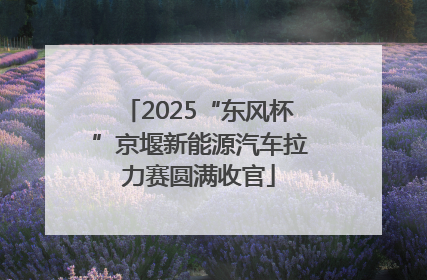 2025“东风杯”京堰新能源汽车拉力赛圆满收官
