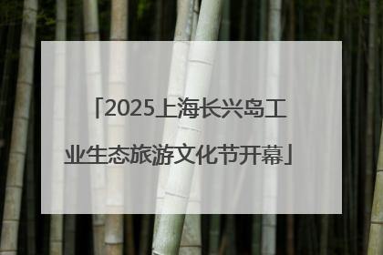 2025上海长兴岛工业生态旅游文化节开幕