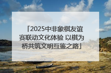 2025中非象棋友谊赛联动文化体验 以棋为桥共筑文明互鉴之路