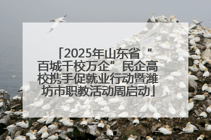 2025年山东省“百城千校万企”民企高校携手促就业行动暨潍坊市职教活动周启动