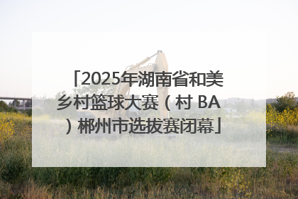 2025年湖南省和美乡村篮球大赛（村 BA）郴州市选拔赛闭幕