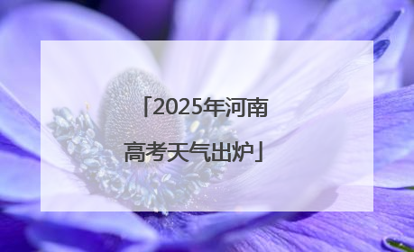 2025年河南高考天气出炉