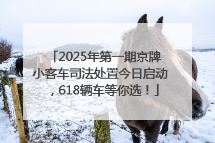 2025年第一期京牌小客车司法处置今日启动，618辆车等你选！