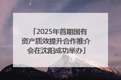 2025年首期国有资产质效提升合作推介会在沈阳成功举办