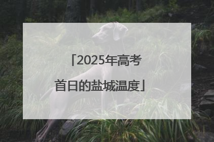 2025年高考首日的盐城温度