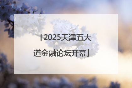 2025天津五大道金融论坛开幕