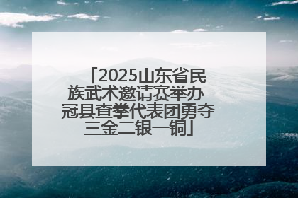 2025山东省民族武术邀请赛举办 冠县查拳代表团勇夺三金二银一铜