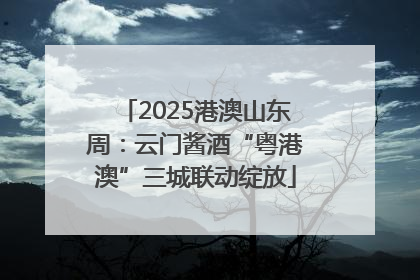 2025港澳山东周：云门酱酒“粤港澳”三城联动绽放