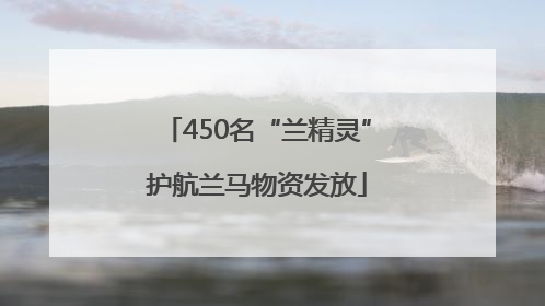 450名“兰精灵”护航兰马物资发放