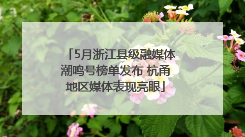 5月浙江县级融媒体潮鸣号榜单发布 杭甬地区媒体表现亮眼