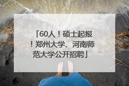60人！硕士起报！郑州大学、河南师范大学公开招聘