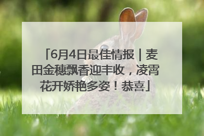 6月4日最佳情报｜麦田金穗飘香迎丰收，凌霄花开娇艳多姿！恭喜