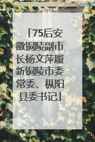 75后安徽铜陵副市长杨文萍履新铜陵市委常委、枞阳县委书记