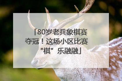 80岁老兵象棋赛夺冠！这场小区比赛“棋”乐融融