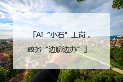 AI“小石”上岗，政务“边聊边办”