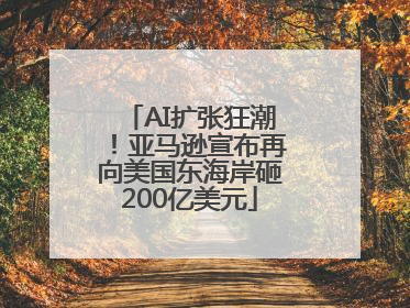 AI扩张狂潮！亚马逊宣布再向美国东海岸砸200亿美元
