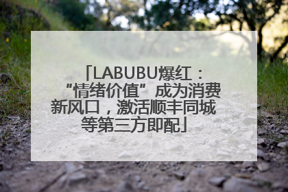 LABUBU爆红：“情绪价值”成为消费新风口，激活顺丰同城等第三方即配