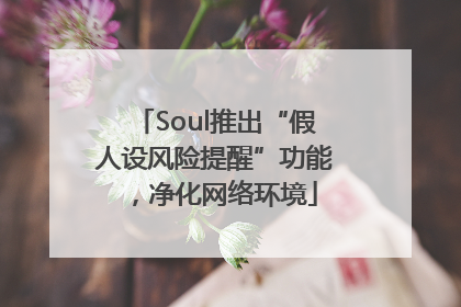 Soul推出“假人设风险提醒”功能，净化网络环境
