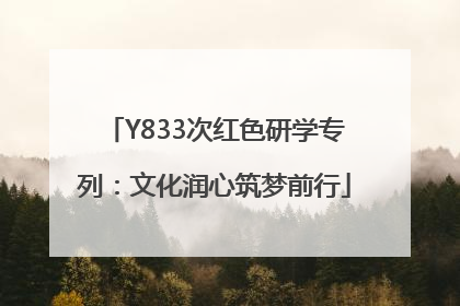 Y833次红色研学专列：文化润心筑梦前行